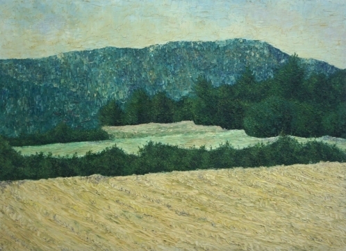 1976 Huile sur carton entoilé 61 46cm