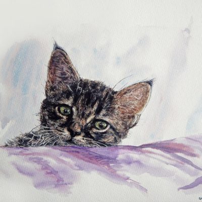 Aquarelle chat Touna