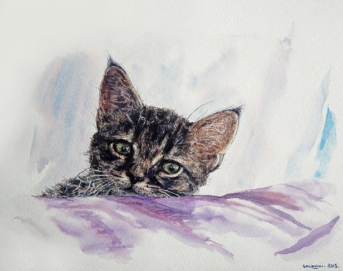 Aquarelle chat Touna