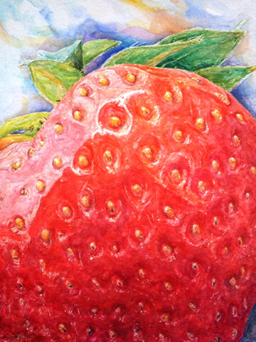 Aquarelle fraise a télécharger ratio 15cm – 20cm-web